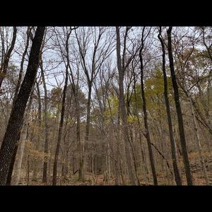 Meet your Posher, Cole